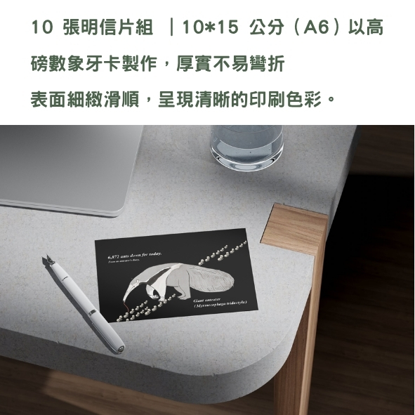 亞馬遜動物明信片組