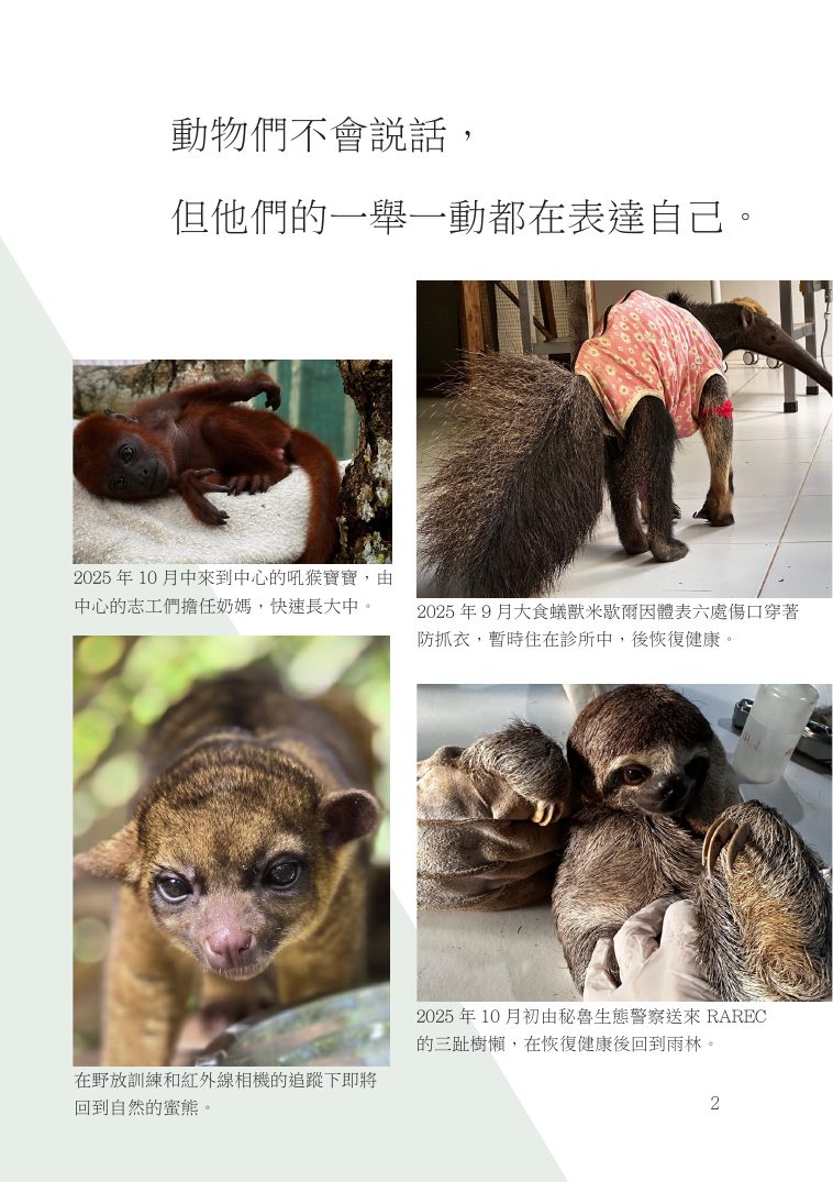 第 3 頁