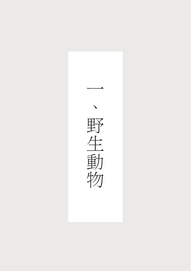 第 12 頁