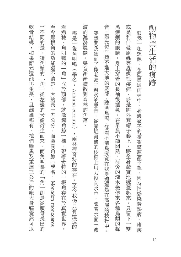 第 13 頁